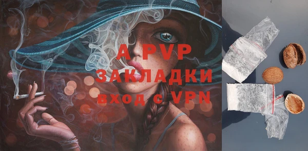ешки Няндома