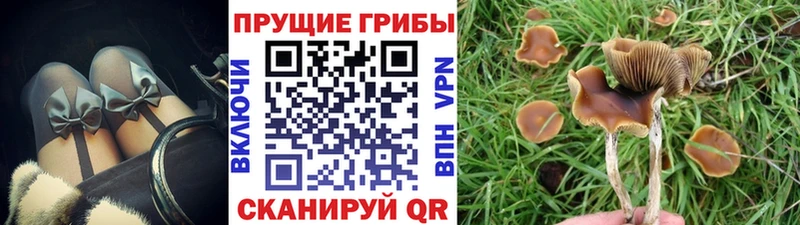 Псилоцибиновые грибы MAGIC MUSHROOMS  купить   Туймазы 