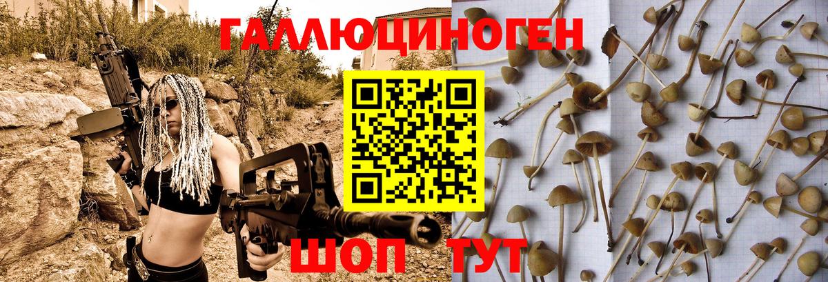 Псилоцибиновые грибы MAGIC MUSHROOMS Туймазы