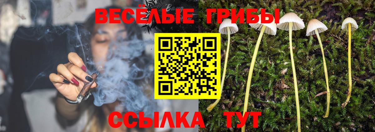 наркота  Вход с VPN  Галлюциногенные грибы MAGIC MUSHROOMS  Туймазы  Галлюциногенные грибы Cubensis 